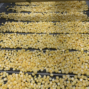 Línea de Producción de Maíz Dulce Personalizada 2000-5000kg/h, Máquina Desgranadora, Lavadora, Calentadora y Secadora de Maíz Dulce para Propietarios de Granjas - Product Image 5
