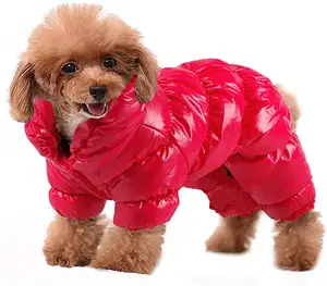 2022 مورد طلب صغير بالجملة مصمم دافئ فاخر شتاء كلب الملابس