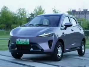 Mini Coche Eléctrico Superior de Baja Velocidad, 4 Asientos, 3000W-5000W, Totalmente Cerrado, Nueva Energía, 100-500km de Autonomía con Radar de Marcha Atrás - Product Image 1