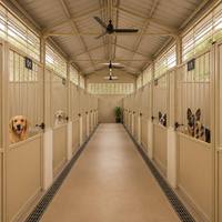 Snel te monteren modulaire geprefabriceerde stalen hondenkennel - Geïsoleerde gegalvaniseerde dierenverblijf voor fokkerij