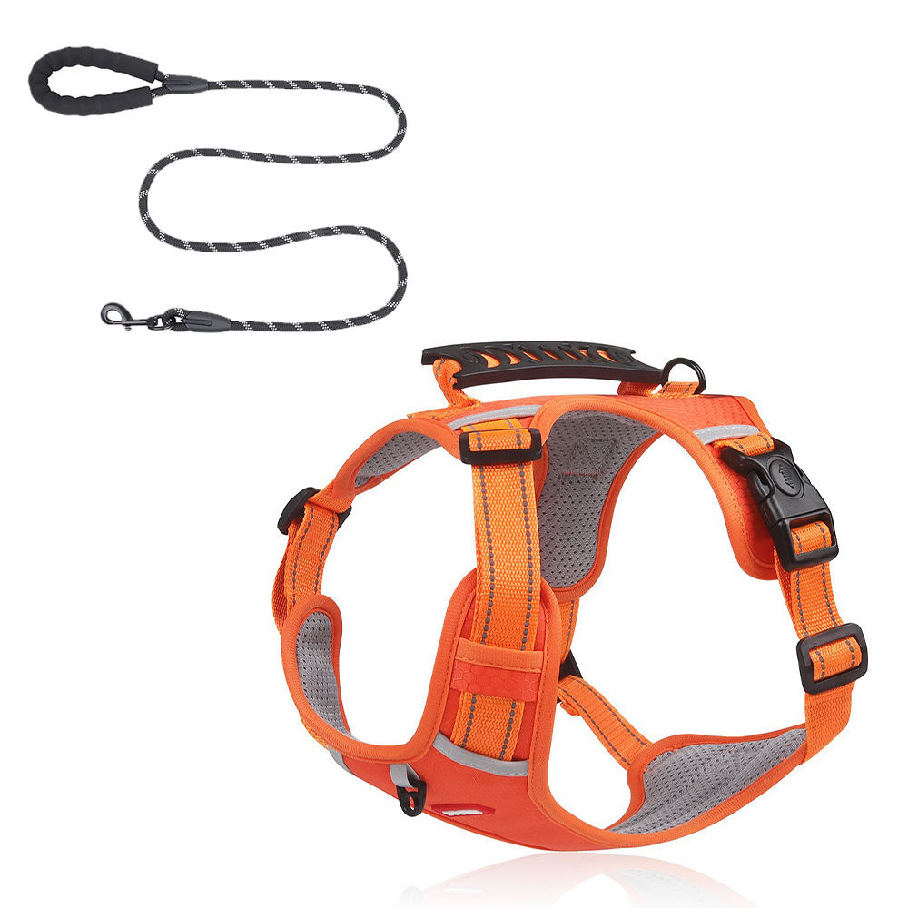 Orange+202 Laisse