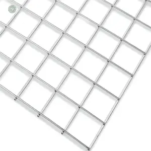 Professional Supplier Electro Galvanized Welded Wire Mesh Panel