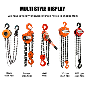 Factory Price High Quality <strong>Manual</strong> Hand Operated Chain <strong>Hoist</strong> 1 Ton Portable <strong>Manual</strong> Lifting Block - Product Image 4