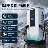Borne de recharge rapide DC commerciale à double pistolet 80-240 kW CCS2 OCPP IP55, station de charge au sol pour projets de dépôts de flottes routières