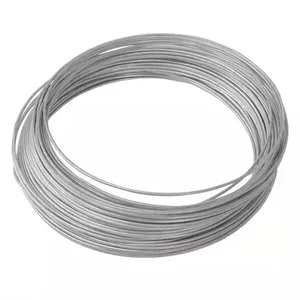 China Direct Supply 0.2mm 0.3mm 1mm SS Steel Wire 310S 309S 2205 2507 2520 Stainless Steel Wire Rods