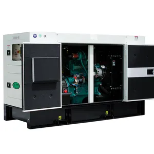 Potenza di emergenza silenzioso 200kw generatore diesel elettrico 250kva gruppo elettrogeno silenzioso con at
