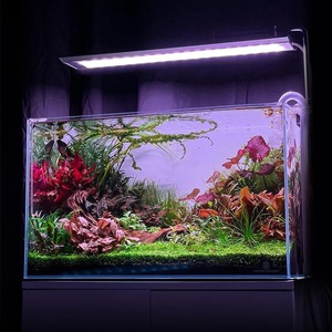 Lampe de culture pour plantes aquatiques WEEK AQUA M Series Version 3 RGB+UV, Bluetooth, pour aquariums et plantes aquatiques. - Product Image 5