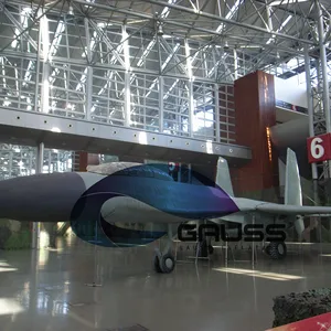 จีนพองเครื่องบินรุ่นพอง Su-27เที่ยวบินเจ็ทหุ่นรุ่นล่อ