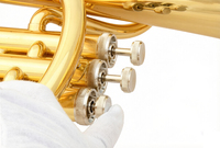 EarlMann Instruments Beginner's Baritone Horn for Adults and Children Bore Size High-grade Storage Box
