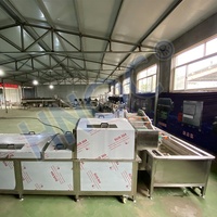 Chips De Pommes De Terre Frites Make Set Inde Commerce Mini Machine Pour Chips De Patate Douce Pour Les Petites Entreprises