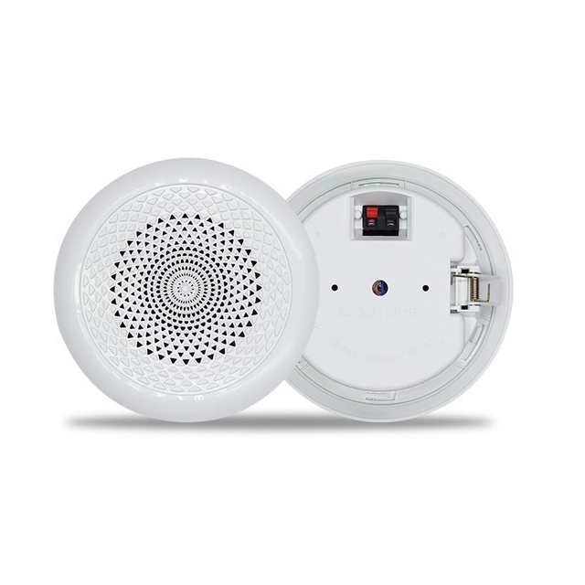 Constant-pressure ceiling-mounted speaker for commercial ceiling-mounted ceiling speakers