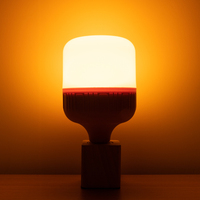 Hoge Kwaliteit Muggenmoordenaar Lamp E26 E27 B22 E12 E14 Muggenwerend Licht Anti Insect Energiebesparing Led Gloeilamp
