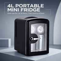 Mini-réfrigérateur thermoélectrique 4L en gros d'usine, refroidisseur personnel portable, petit réfrigérateur de maquillage avec porte transparente