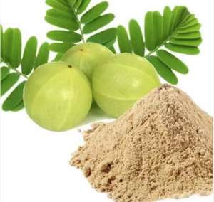 Премиум качество 100% чистый и органический экстракт амла по оптовой цене - Product Image 3