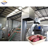 Nouvelle Ligne de Production Professionnelle en Acier Inoxydable pour le Lavage, la Découpe et le Séchage des Patates Douces, avec Contrôle PLC, Moteur, Pompe et Engrenage |   Doux