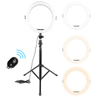 Professionnel 11 pouces maquillage Selfie Studio vidéo anneau lampe 36cm 45cm téléphone Live Show Stream LED anneau lumineux