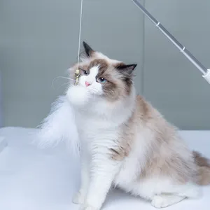 Giocattolo Laser per gatti retrattile elettronico all'ingrosso di vendita calda con bastone rompicapo per gatti giocattolo interattivo per animali domestici asta per gatti