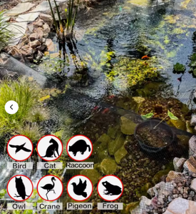 Filet de protection pour bassin, résistant aux UV, haute résistance à la déchirure, léger, anti-oiseaux, anti-feuilles, pour bassins de jardin et bassins à poissons - Product Image 3