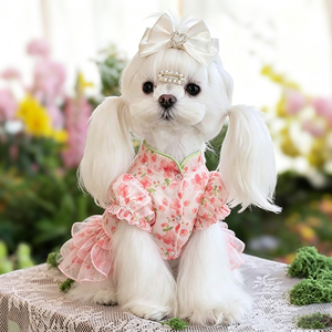 Robe de princesse légère pour <span class=keywords><strong>chien</strong></span> <span class=keywords><strong>Papillon</strong></span>, jupe tutu florale pour animaux de compagnie, pour chats et petits chiens, robe respirante pour <span class=keywords><strong>chiot</strong></span>, pour l'été, à porter au quotidien - Product Image 3