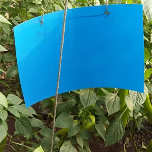 Garden Outdoor Double Side Strong Flies Sticky Card Insect Glue Traps 30*25CM Blue Pest Control Products