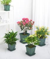Vente directe d'usine racine carrée balcon plantation de fleurs et de légumes Pots de fleurs en plastique de grande taille pour plantes