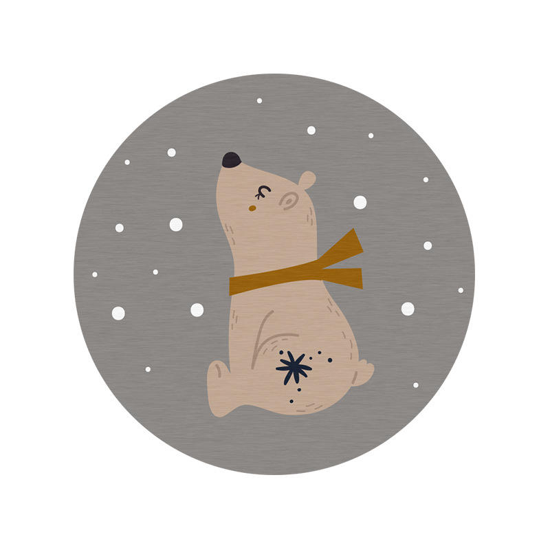 หมีขั้วโลก