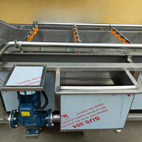 Professionele Lage Prijs Industriële Luchtmacht Multifunctionele Fruit & Groenten Wasmachine