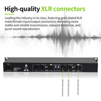 Égaliseur de signal professionnel pour système audio de scène, processeur mono/stéréo 2/3 voies, distributeur de signal pour performance DJ