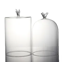 ガラスドームに一致家の装飾透明な楕円形のガラス瓶とドームLED安い鉛フリー透明なガラスドームと木製スタンド