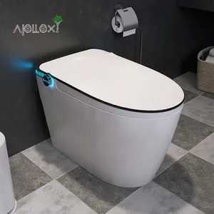 Apolloxy 장식 공장 콘센트 새로운 모델 스마트 자동 지능형 Eplo 클린 플러시 스마트 화장실