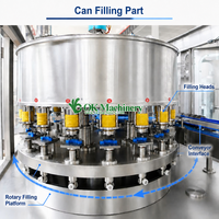 Volledig automatische verpakkingslijn voor het doseren, vullen en afsluiten van blikjes met vers fruit sap (M023)