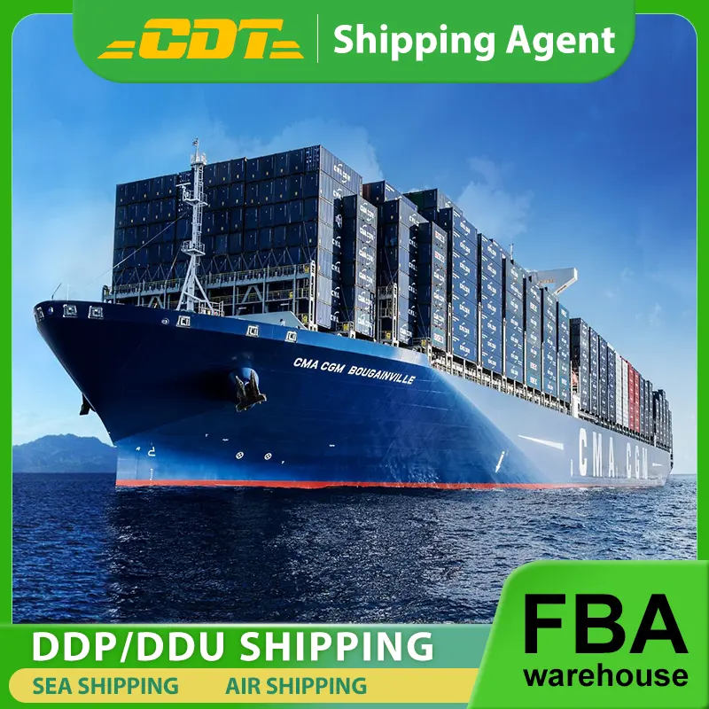 Transporteur professionnel et bon marché d'agent de transport de mer à FBA