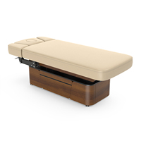 Table de massage électrique Lynn-Heaven de type basique avec mécanisme manuel/amortisseurs à gaz et accoudoir avant réglable