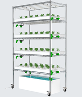 Étagères de stockage modernes en acier à 5 niveaux pour micro-légumes de jardin, plateaux hydroponiques, kit de système de culture réglable, support de clonage