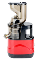 200W Elektrische Fruitpers 300ml 6 Bladen RVS Koudpers Sapcentrifuge Slow Juicer voor Camper Buitenreizen
