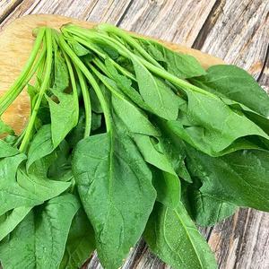 Espinaca fresca de temporada cultivada en la granja, tallos cortos, raíces rojas para olla caliente, embalaje a granel, secado de anuncios, envío gratis a través de SF Express - Product Image 4