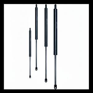 C 250 Carrera F 900 N CILINDRO OLEOPNEUMÁTICO (VO25/090) - Product Image 1