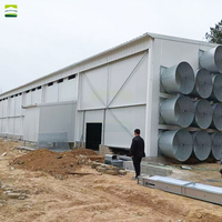 Bâtiment en structure acier préfabriqué galvanisé GREATFARM pour élevage de volailles (poulets de chair, poules pondeuses, canards)