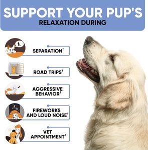 OEM/ODM Suppléments nutritionnels à mâcher doux <span class=keywords><strong>pour</strong></span> chiens avec <span class=keywords><strong>racine</strong></span> <span class=keywords><strong>de</strong></span> valériane <span class=keywords><strong>pour</strong></span> chats et poissons anti-stress - Product Image 2