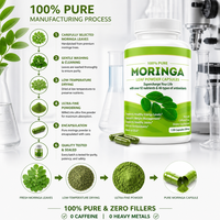 Suplemen Diet Kapsul Moringa OEM dengan 100% Bubuk Daun Murni, Manfaat Antioksidan, Kualitas Makanan