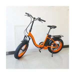 Bafang — vélo électrique boxer 48V, 500W, avec moteur sans balais dans le moyeu arrière, fat bike, lcd48 V