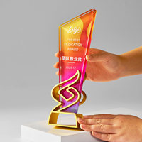 Nuevo Trofeo de Cristal Personalizado, Estrella de Cinco Puntas, Reconocimiento de Equipo, Estrella de Luz, Compromiso del Equipo, Premios de Competición, Medalla de Metal