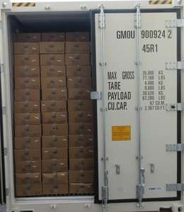 Venta al por mayor de alta calidad congelado salmón pescado rey caballa almacenamiento en frío Hkwalkin cámara frigorífica Proyecto de almacenes en frío - Product Image 6