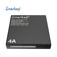 4TH NEEY Enerkey 4A Smart Active Balancer 3S 4S 5S 6S 7S 8S 16S 20S 21S 22S 24S Lifepo4 Lipo LTO Penyeimbang Energi Baterai