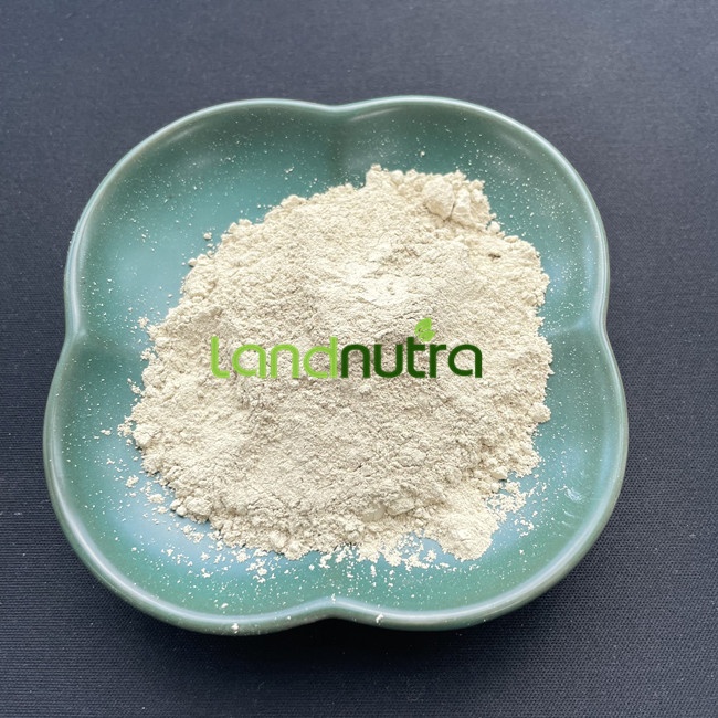 1mg igf-1 lr3 IGF-1 LR3: Everything You Need to Know — Tiger Fitness