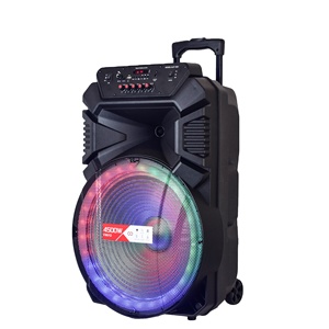 Altavoz portátil RTS de 15 pulgadas PARA karaoke al aire libre, carrito con pantalla led, micrófono inalámbrico - Product Image 2