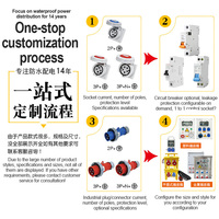 Boîte de prises de courant industrielle en plastique portable personnalisée de 12 bits, ensemble complet d'équipement de distribution d'énergie extérieur pour les chantiers de construction