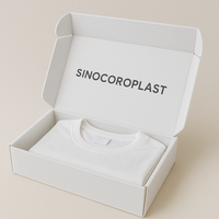 Boîtes de Rangement pour Vêtements Logo Personnalisable Haute Qualité Luxe Recyclable Boîte à Chemises Pliante Emballage Cadeau Envoi Postal
