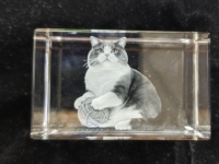 Máquina de Grabado Láser 3D en Cristal, Máquina de Marcado Láser 3D para Fotos en Cristal para Tiendas de Regalos