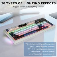 OEM ODM Wireless Mechanical Keyboard BT5024GHzUSB MultiColor LED with 18 Modes HotSwappable Custom Keyboard Red Creamy Switches